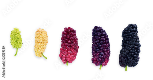 Mulberry berry with leaf isolated on white background