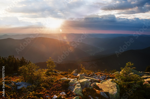 View of the sunset from the mountains in the distance. The dark silhouettes of the peaks of the mountains, huge blocks of moss-grown stones in the foreground. Mountainous landscape. 