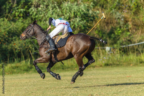 Polo Rider Pony Game Action