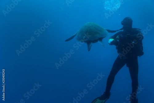 Diver looking at the big turtle in deep blue water.