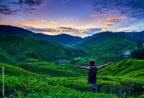 Malaysia Cameron Highlands Tea Plantations sunset