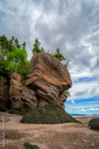 Hopewell Rocks znany również jako skały doniczki, wzdłuż Zatoki Fundy, New Brunswick, Kanada.