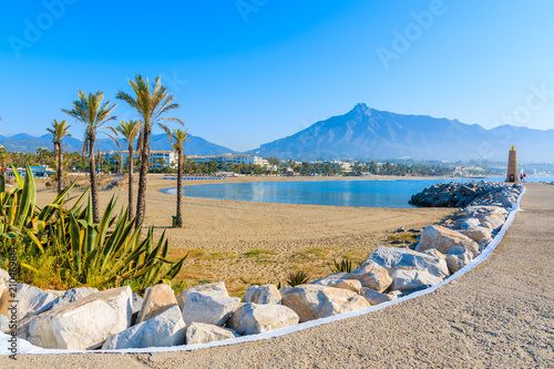 View of beautiful beach with palm trees in Marbella near Puerto Banus marina, Costa del Sol, Spain