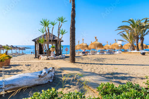 Palm trees and sunbeds on beautiful beach near Marbella, Andalusia, Spain