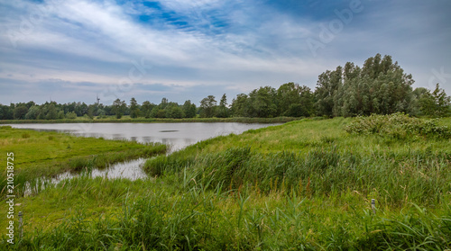 Wetlands nature Netherlands