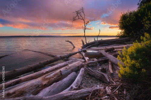 Camano Island State Park