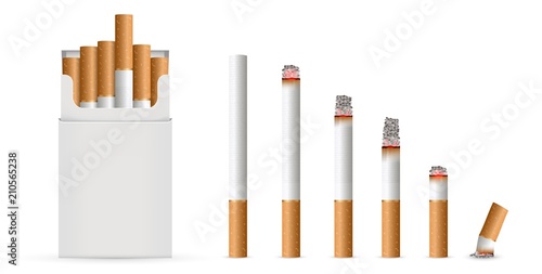 Creative vector illustration of realistic cigarette set isolated on transparent background. Art design different stages of burn. Abstract concept graphic element