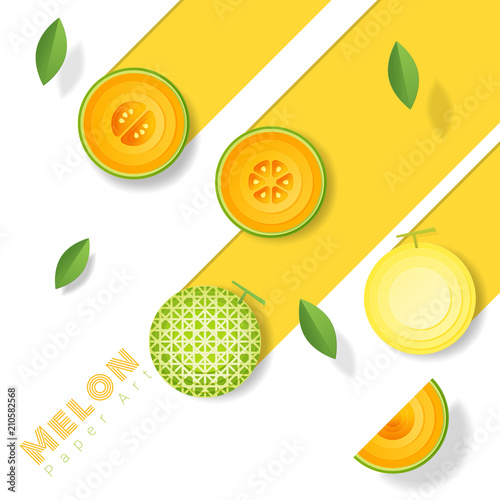 Fresh melon fruit background in paper art style , vector , illustration