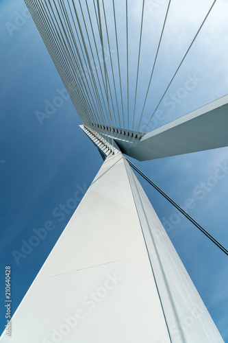 Close up of Erasmus bridge in Rotterdam