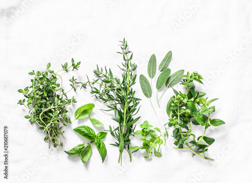 Range of fragrant garden herbs on a light background-tarragon, thyme, oregano, basil, sage, mint. Healthy ingredients, top view. Copy space, flat lay