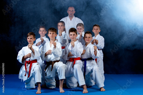 young, beautiful, successful multi ethical karate kids in karate position.