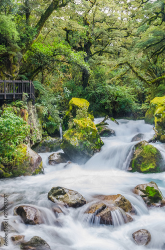 Waterfall in Lake Marian which is located in the Fiordland National Park, Milford sound, New Zealand.