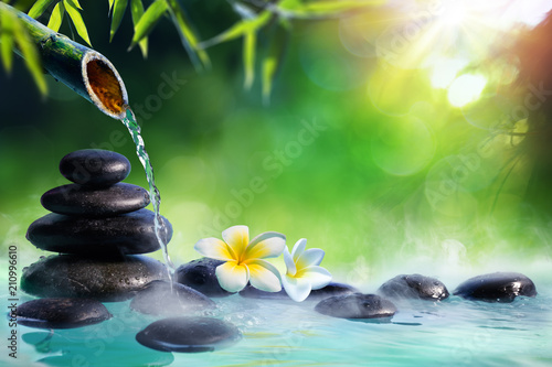 Plumeria Flowers In Japanese Fountain With Massage Stones And Bamboo - Zen Garden 