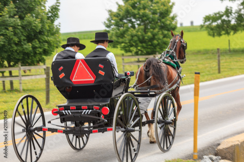 Two Youbng Amish Men in an Open Buggy