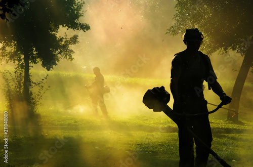 People cutting grass with brush cutter outdoor