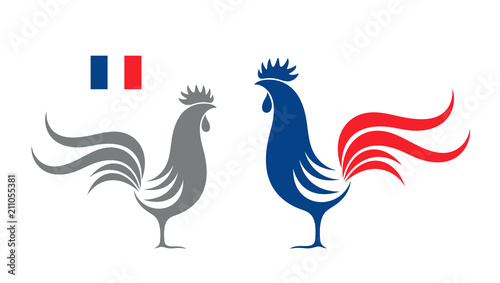 French rooster. Isolated rooster on white background