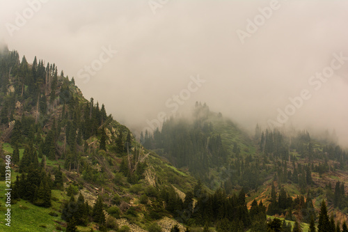 Foggy mountains landscape.
