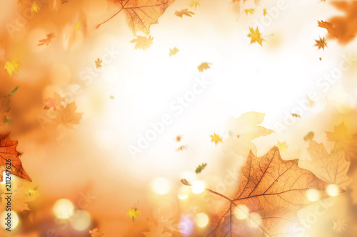 autumn leaves 