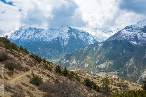 Mountain landscape with trees, bushes and snowy mountains, Nepal.