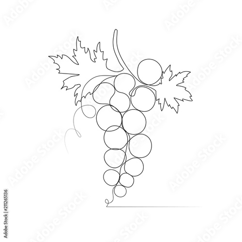 One line drawing grape sketch isolated on white background.