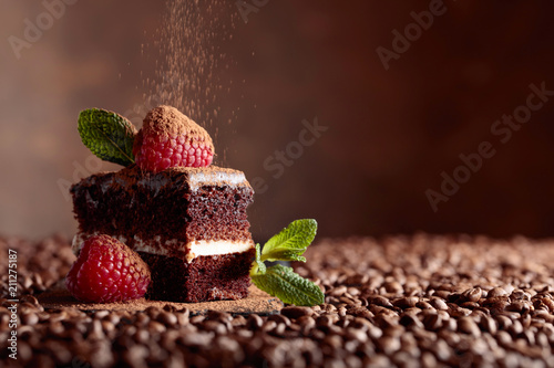 Closeup of chocolate cake with raspberry and mint .