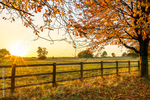 Sunset in autumn in England