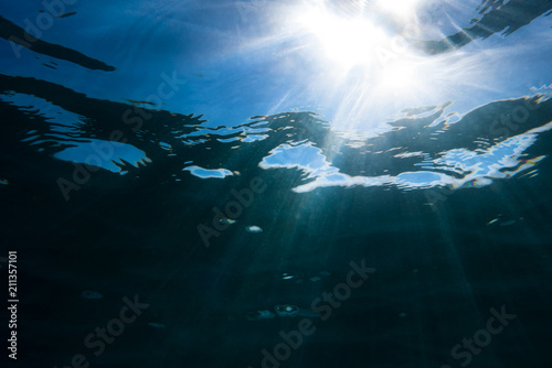Sunbeams underwater near water surface.