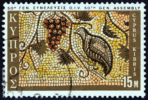 Grapes and Partridge mosaic, Paphos (Cyprus 1970)