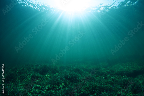 Under the sea 