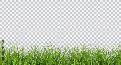 Vector bright green realistic seamless grass border isolated on transparent background