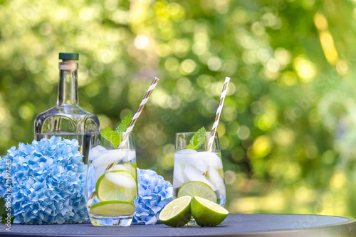 Gin tonic cocktails with lime and mint in the garden