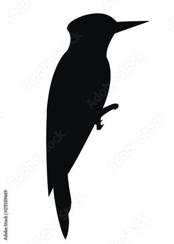 Black silhouette. Woodpecker bird. Flat cartoon character design. Black bird icon. Cute woodpecker template. Vector illustration isolated on white background