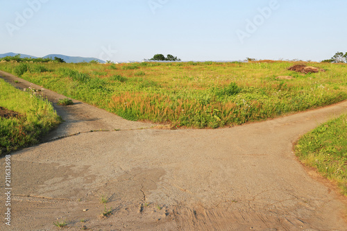 道の分岐