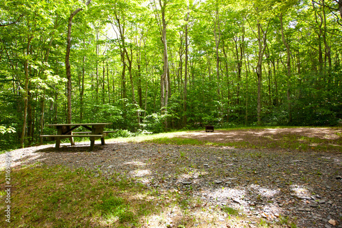 Empty quiet campsite