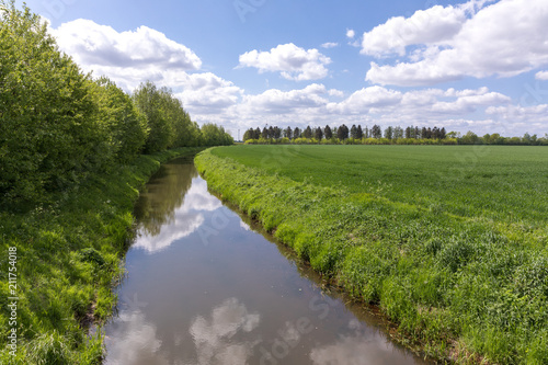 Bachlauf im Wald