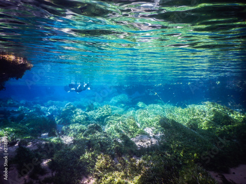 Practicing diving and snorkeling, mysterious lagoon, beautiful lagoon of transparent turquoise blue water, located in the city of Bonito, Mato Grosso do Sul, Brazil