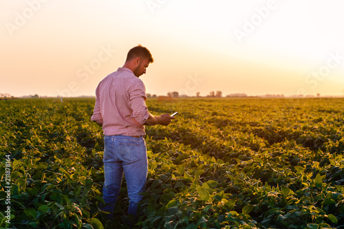 Young farmer standing in filed holding phone in his hands and examining soybean corp at sunset.