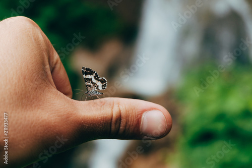 little butterfly at mans hand pov