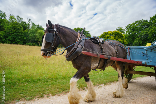 Special old house nad life display in Weald & Downland Living Museum