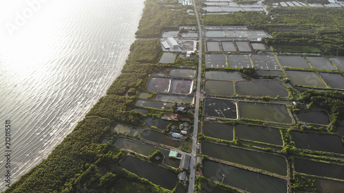 Aerial view of shrimp farm and air purifier in Thailand. Continuous growing aquaculture business is exported to the international market.