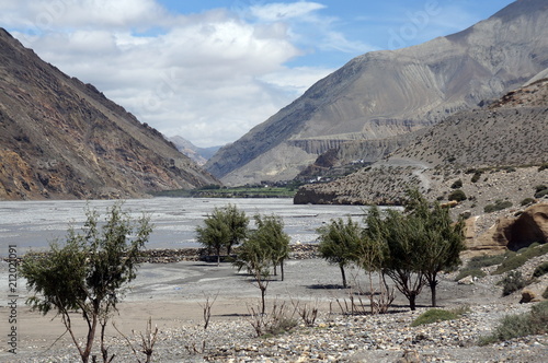 Trees grow on the banks of the Kali Gandaki River in the Dolna of the Himalayan Mountains. Nepal. Upper Mustang.