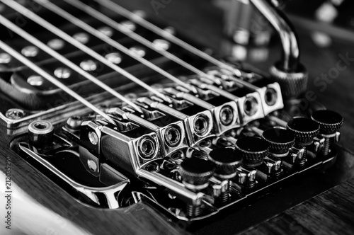 locking tremolo bridge monochrome 