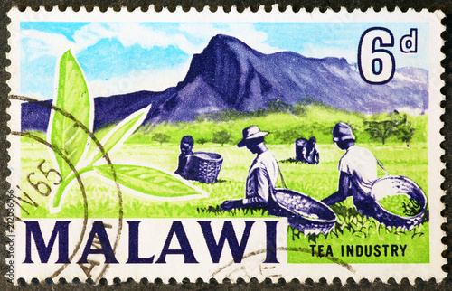 Tea industry on postage stamp of malawi