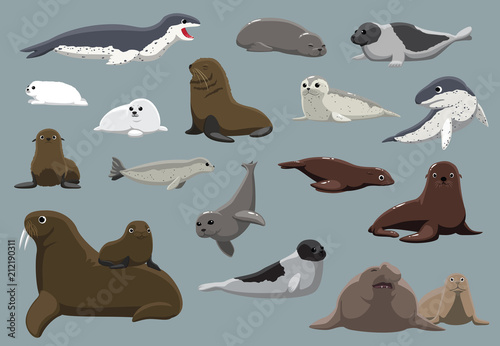Various Seals Set Cartoon Vector Illustration