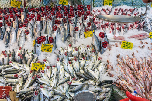 Choice of fish at a market in Istanbul