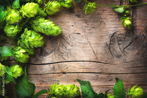 Hop twig over old wooden cracked table background. Beer production ingredient. Brewery concept