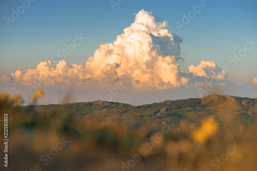 Picturesque cumulus storm cloud in the sky. Sunset colors. Nature landscape mountain forest. blurred meadow grass and yellow flowers in the foreground. Place for text
