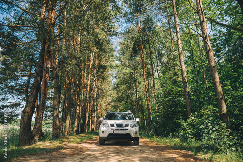 white suv in forest. car travel concept. lifestyle