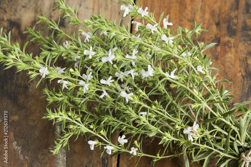 Summer Savory , Satureja Hortensis, Bunch