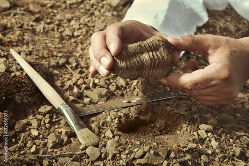 Scientist pick up trilobite fossil find from ground